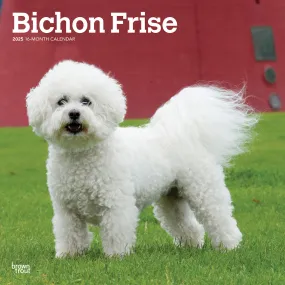 Bichon Frise Wall 2025 Calendar