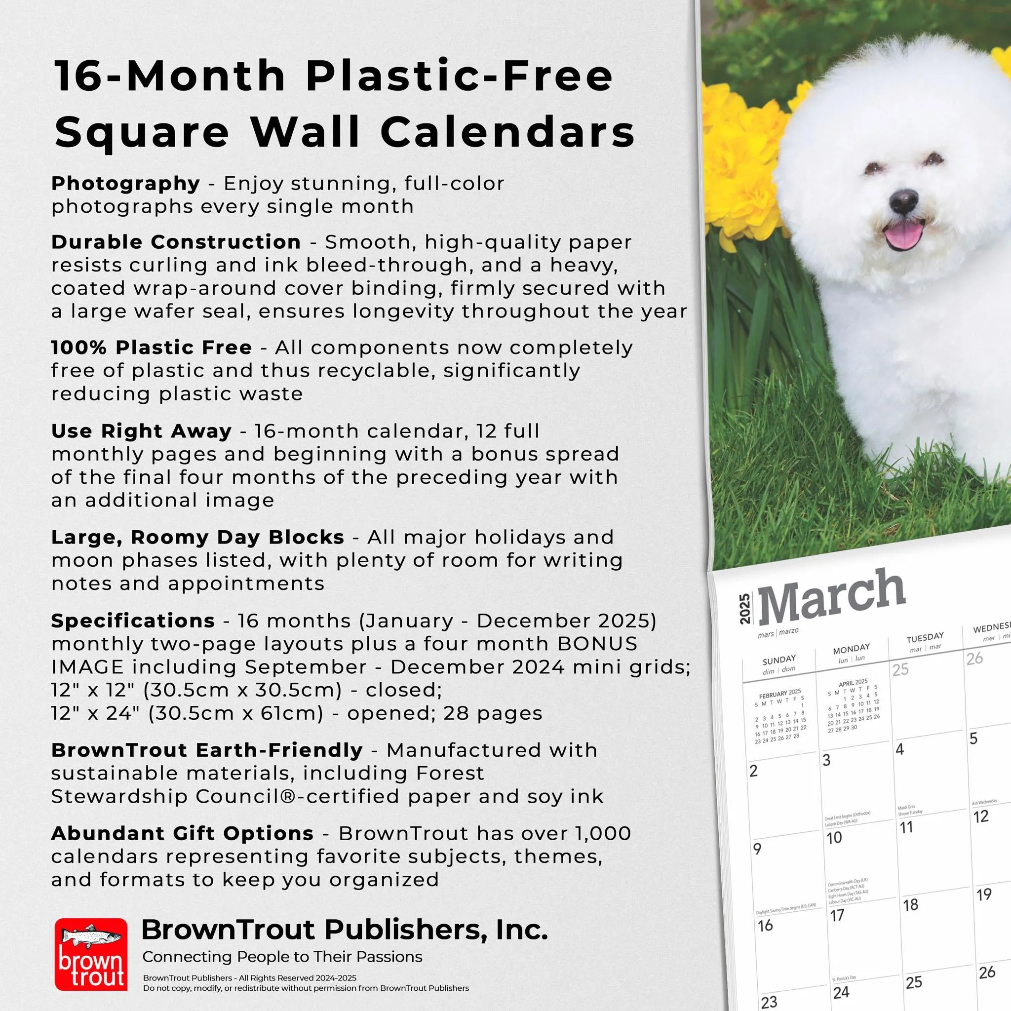 Bichon Frise Wall 2025 Calendar