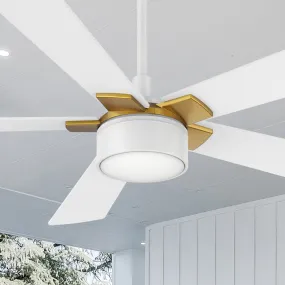 Brescia Smart Ceiling Fan with LED Light and Remote Outdoor/Indoor 52"