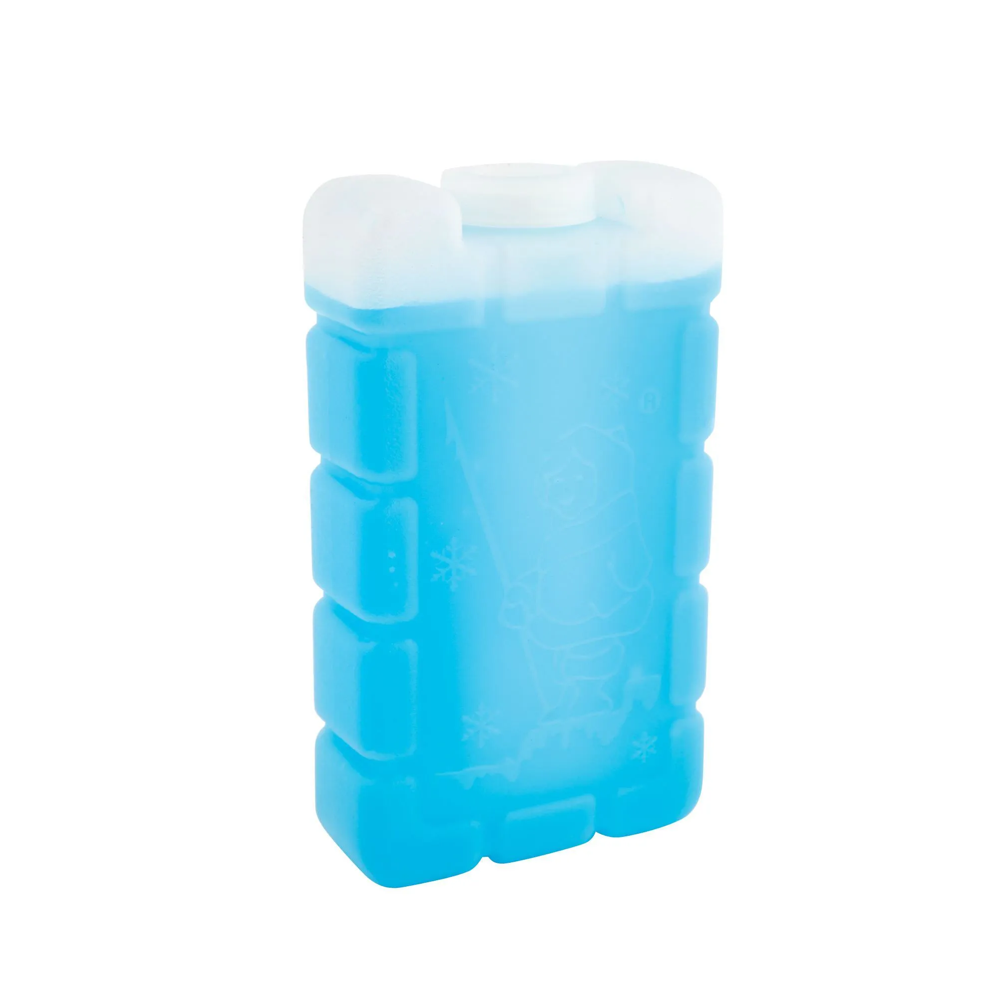 Coleman Cooler Ice Bricks