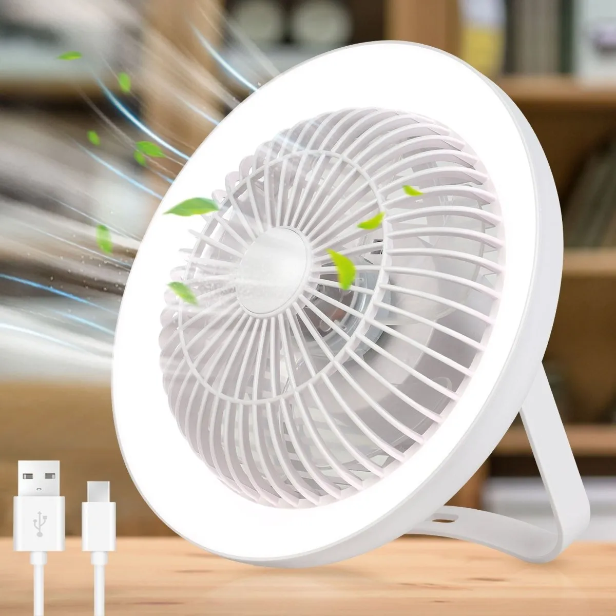 Depuley Portable Desk Fan with LED Light, 8" Small Desk Fan for Hanging or Tabletop Use, 4000mAH Outdoor Small Fan Rechargeable Quiet Camping USB Desk Fan with 3 Speeds