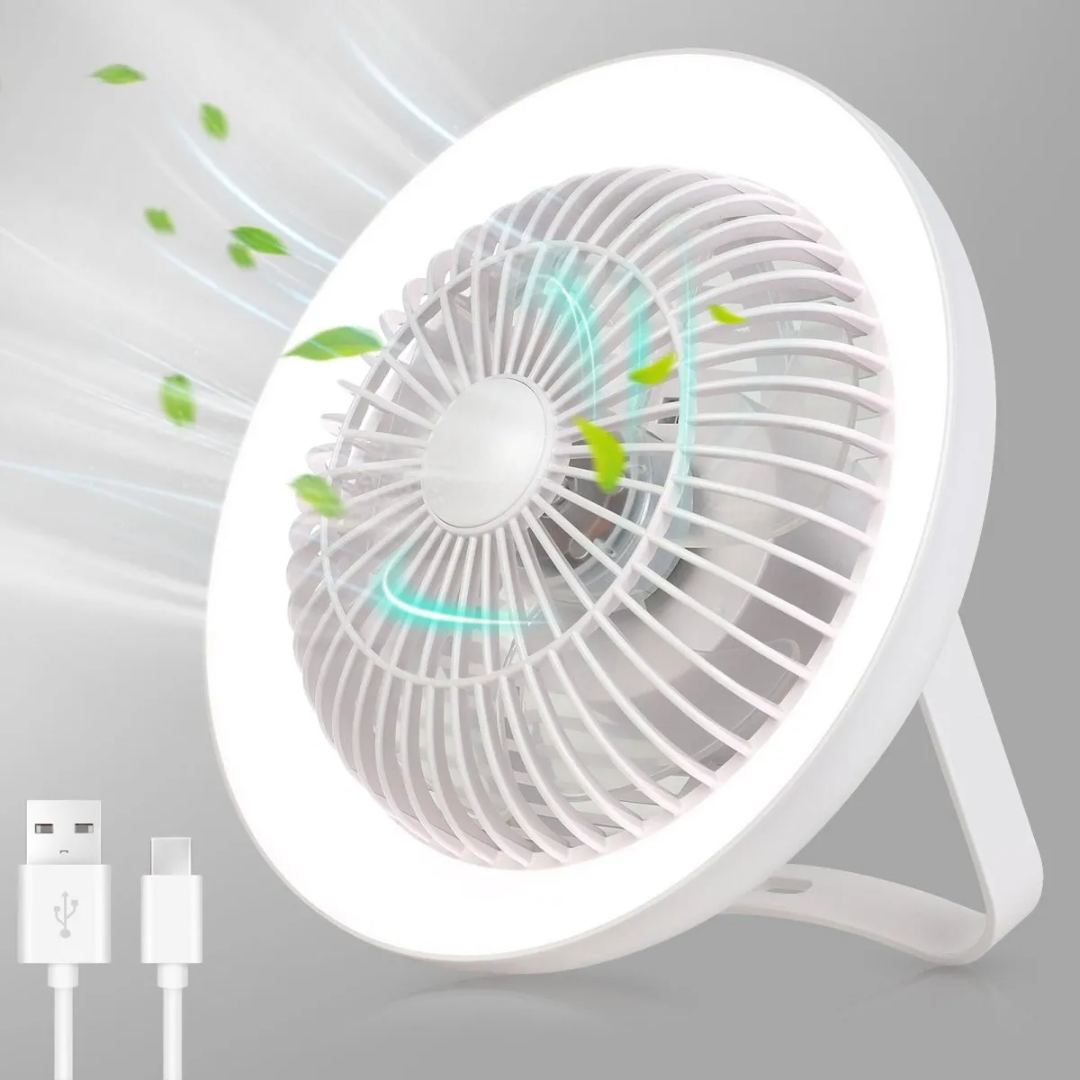 Depuley Portable Desk Fan with LED Light, 8" Small Desk Fan for Hanging or Tabletop Use, 4000mAH Outdoor Small Fan Rechargeable Quiet Camping USB Desk Fan with 3 Speeds