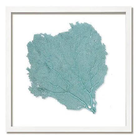 Framed Custom Sea Fan Art  (multiple sizes & colors) - White Frame