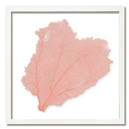 Framed Custom Sea Fan Art  (multiple sizes & colors) - White Frame