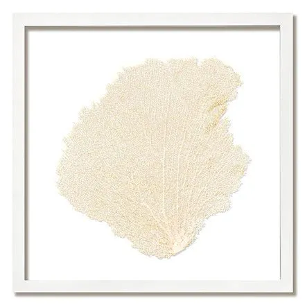 Framed Custom Sea Fan Art  (multiple sizes & colors) - White Frame