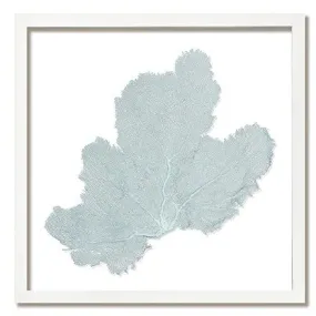 Framed Custom Sea Fan Art  (multiple sizes & colors) - White Frame