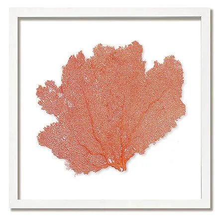 Framed Custom Sea Fan Art  (multiple sizes & colors) - White Frame