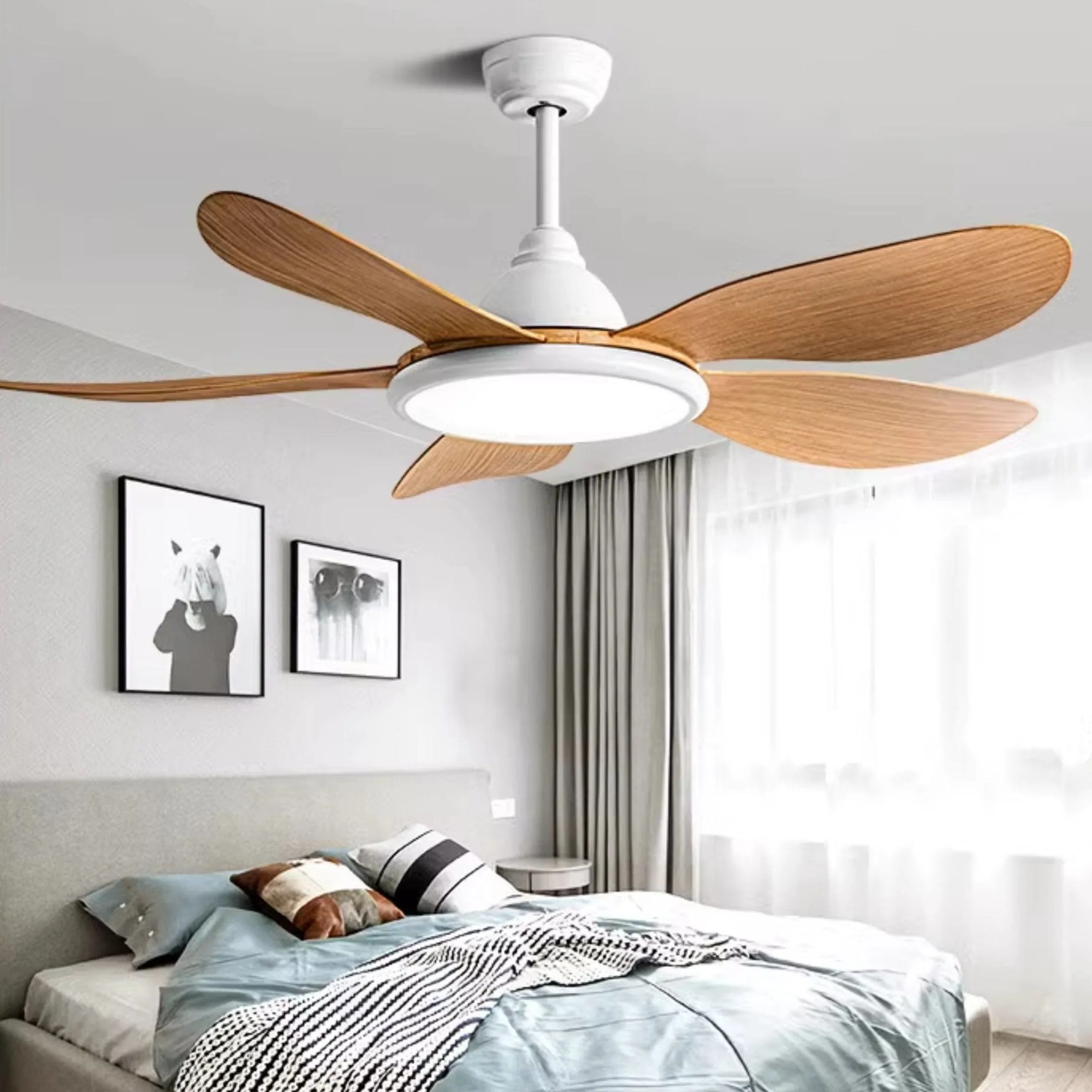 Lacey | Lighted Ceiling Fan