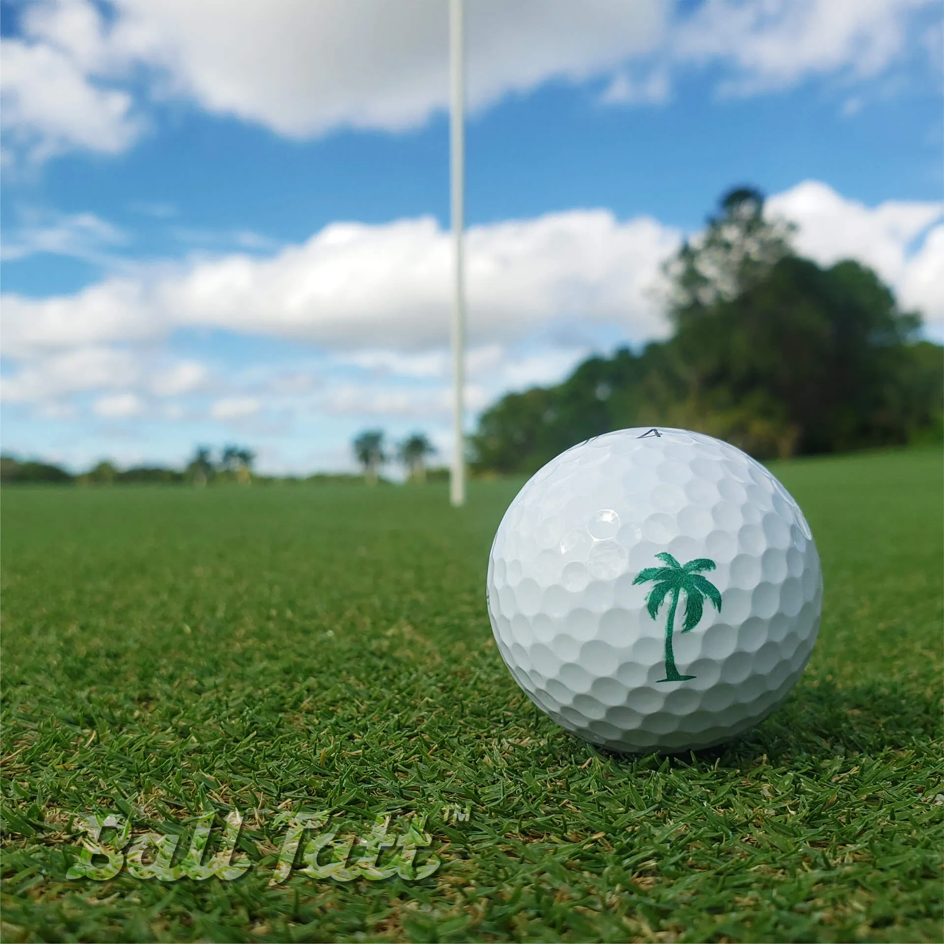 Palm Tree Golf Ball Stamp