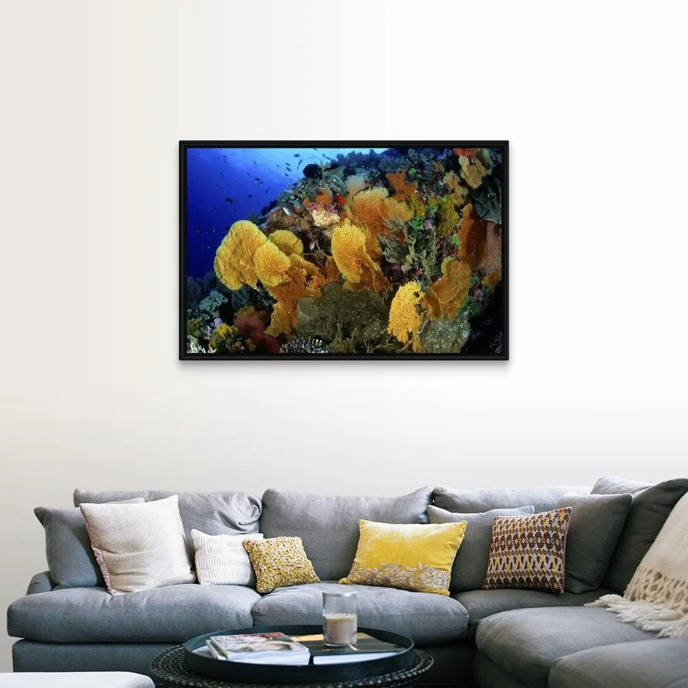 "Coral Garden with Sea Fans at Flinders Reef, Coral Sea" Black Float Frame Canvas Art