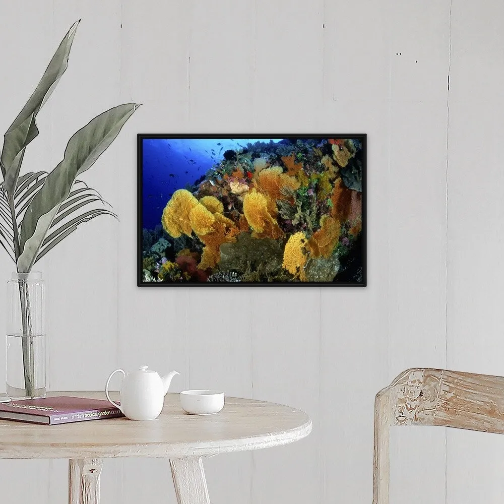 "Coral Garden with Sea Fans at Flinders Reef, Coral Sea" Black Float Frame Canvas Art