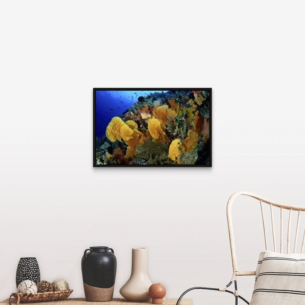 "Coral Garden with Sea Fans at Flinders Reef, Coral Sea" Black Float Frame Canvas Art