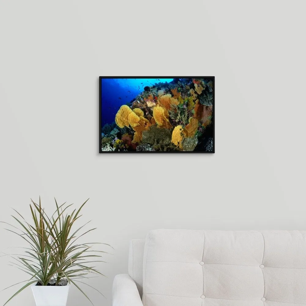 "Coral Garden with Sea Fans at Flinders Reef, Coral Sea" Black Float Frame Canvas Art